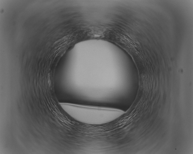 X0000087041442200704180925