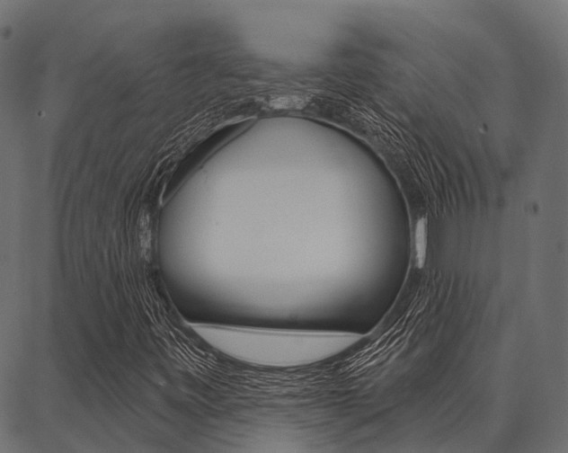 X0000087041443200704180925