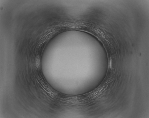 X0000087041444200704180925
