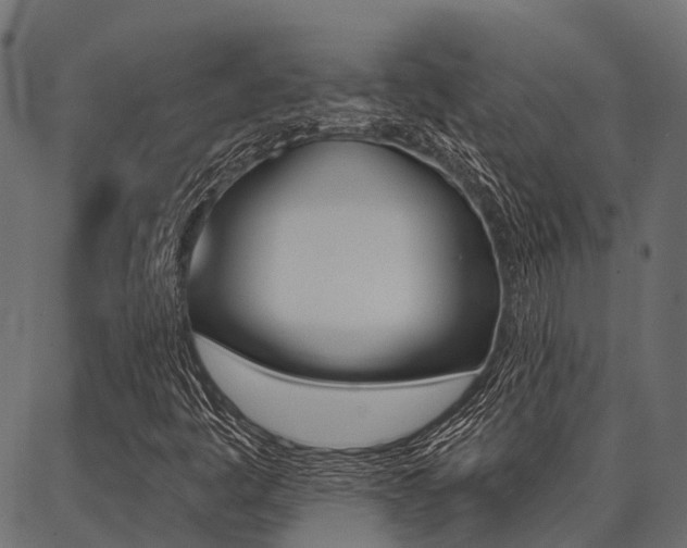 X0000087041445200704180925