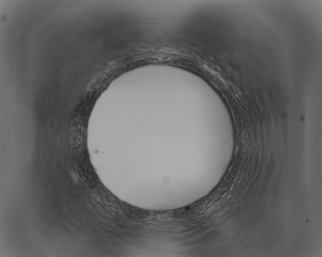 X0000087041447200704180925