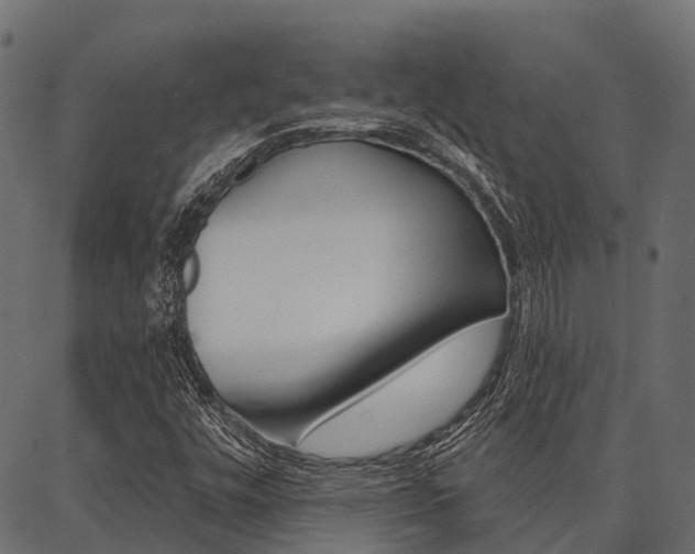 X0000087041448200704180925
