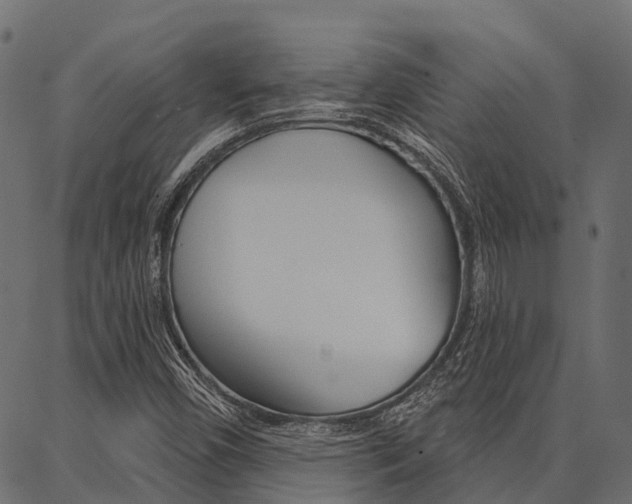 X0000087041450200704180925