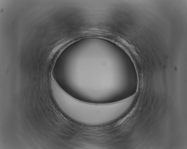 X0000087041453200704180925