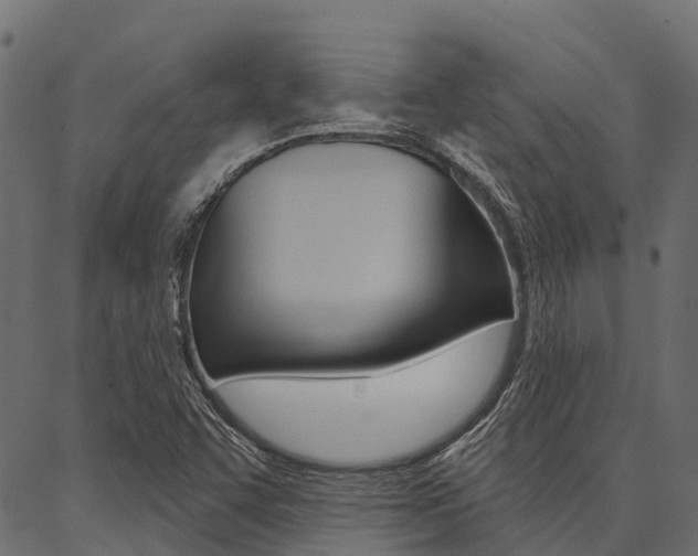 X0000087041455200704180925