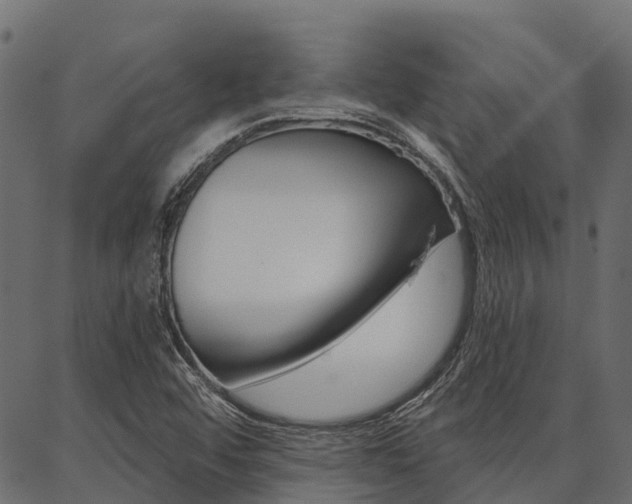 X0000087041456200704180925