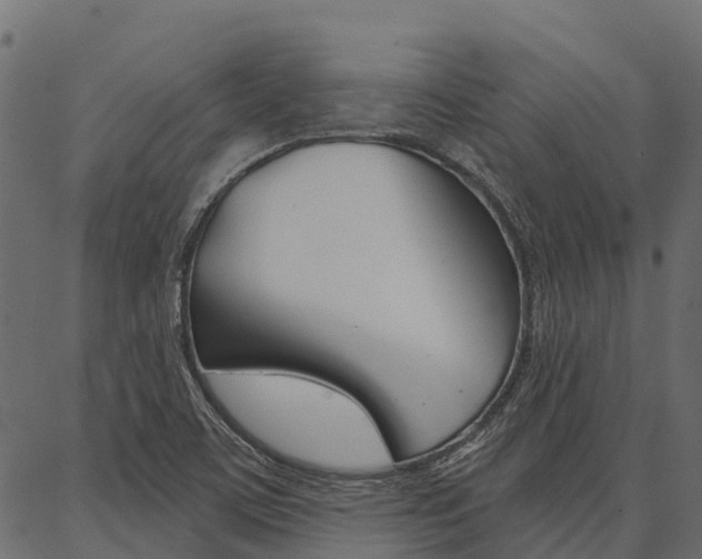 X0000087041459200704180925