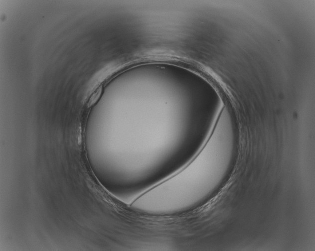 X0000087041461200704180925