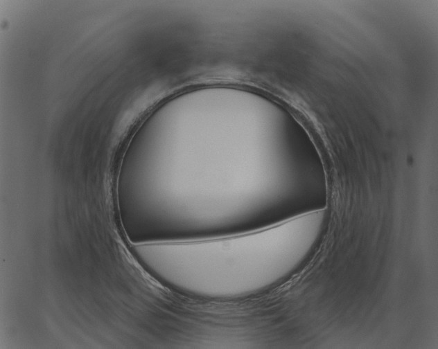 X0000087041464200704180925