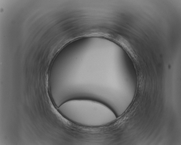 X0000087041476200704180925