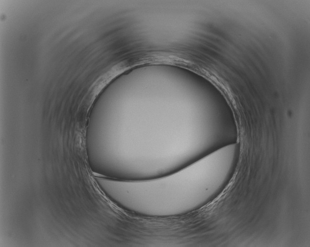 X0000087041481200704180925