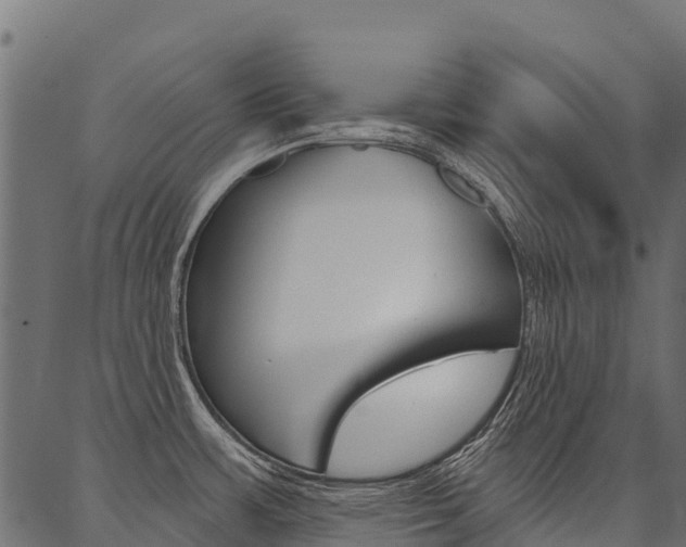 X0000087041483200704180925
