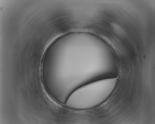 X0000087041484200704180925