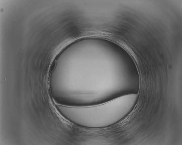 X0000087041485200704180925