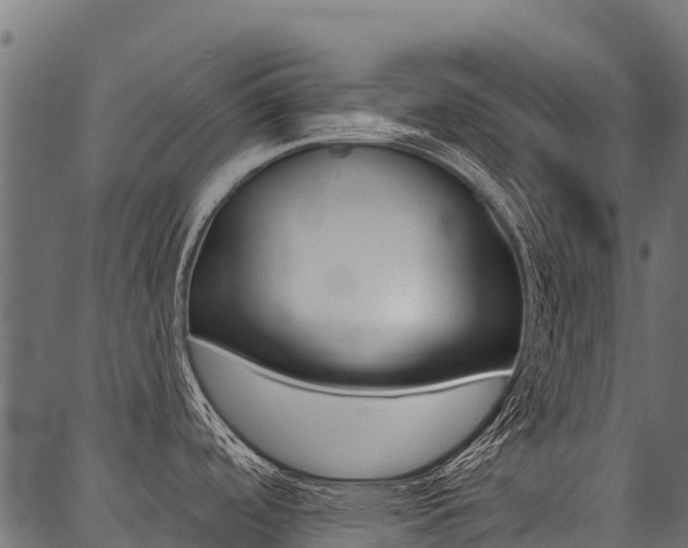 X0000087041488200704180925
