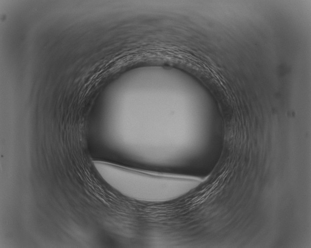 X0000087041490200704180924
