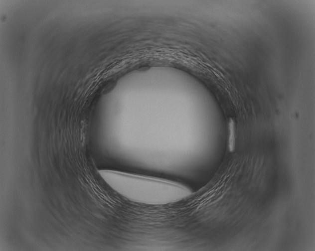 X0000087041491200704180924