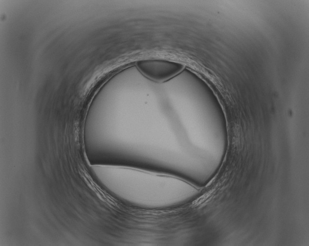 X0000087041499200704180924