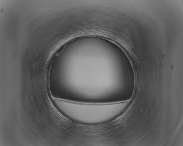 X0000087041500200704180924