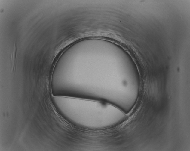 X0000087041505200704180924