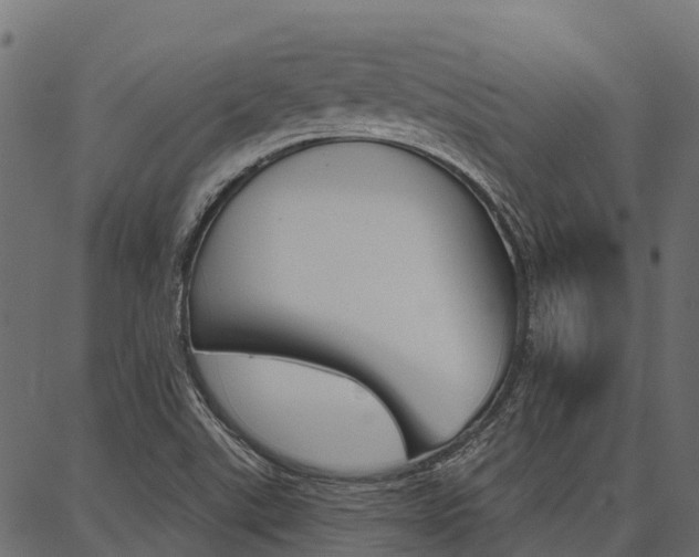 X0000087041507200704180924
