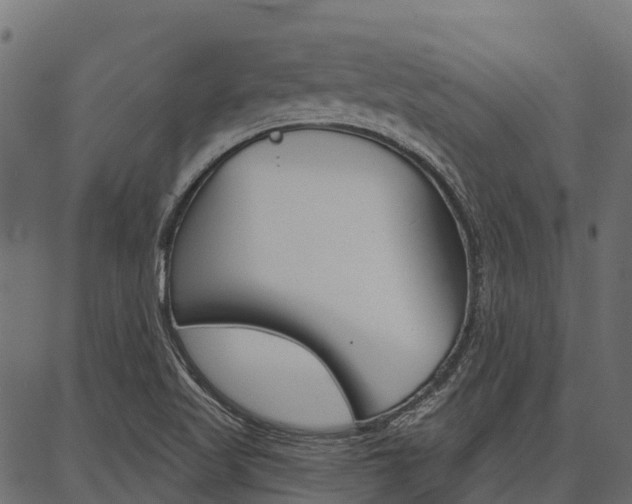 X0000087041509200704180924