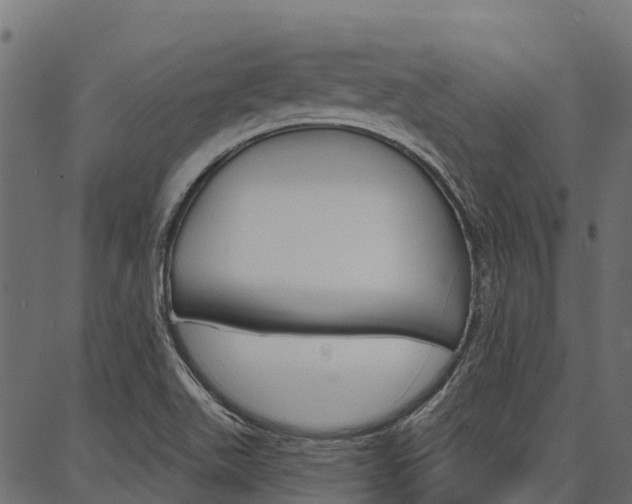 X0000087041511200704180924