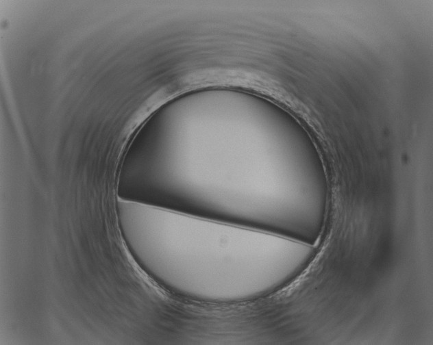 X0000087041521200704180924