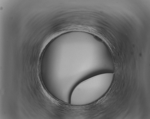 X0000087041531200704180924