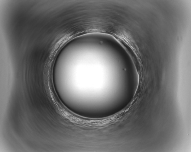 X0000087040001200704181225