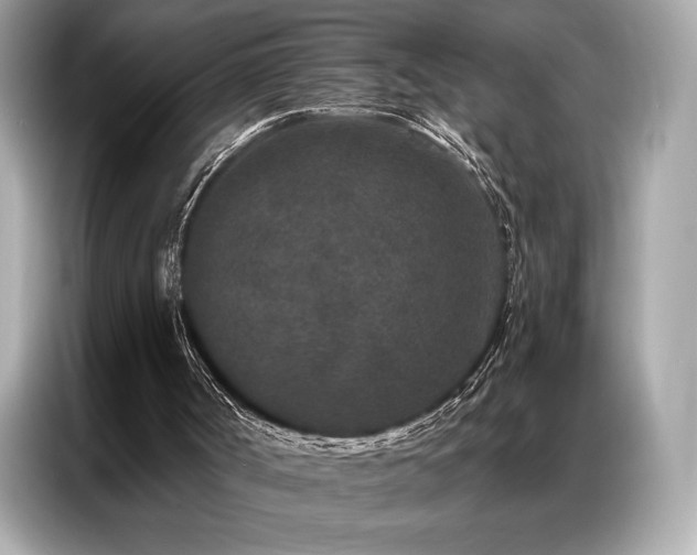 X0000087040002200704181225