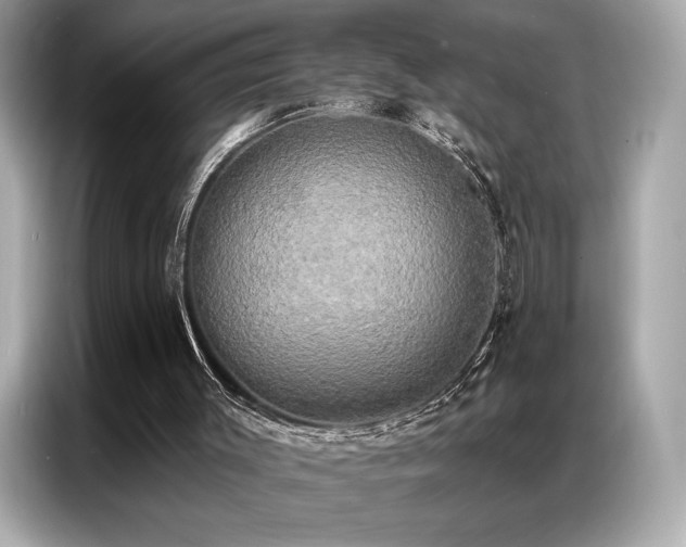 X0000087040003200704181225