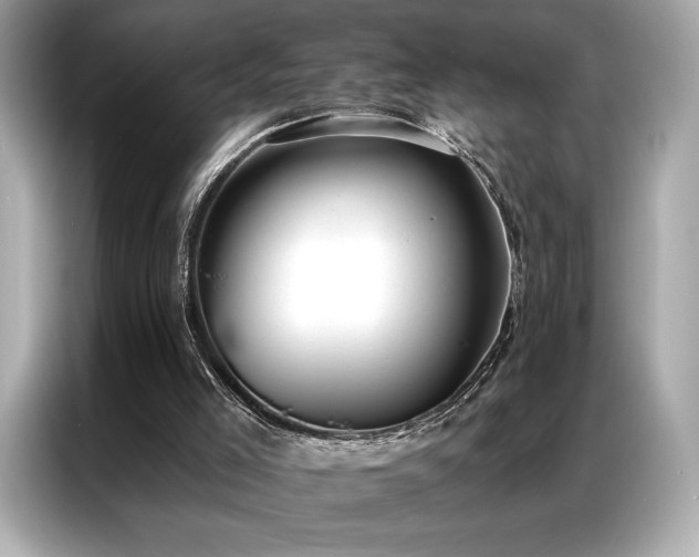 X0000087040005200704181225