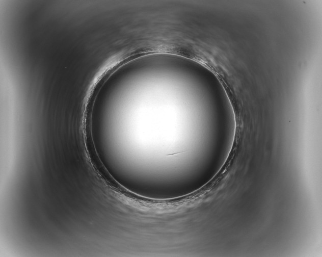 X0000087040006200704181225
