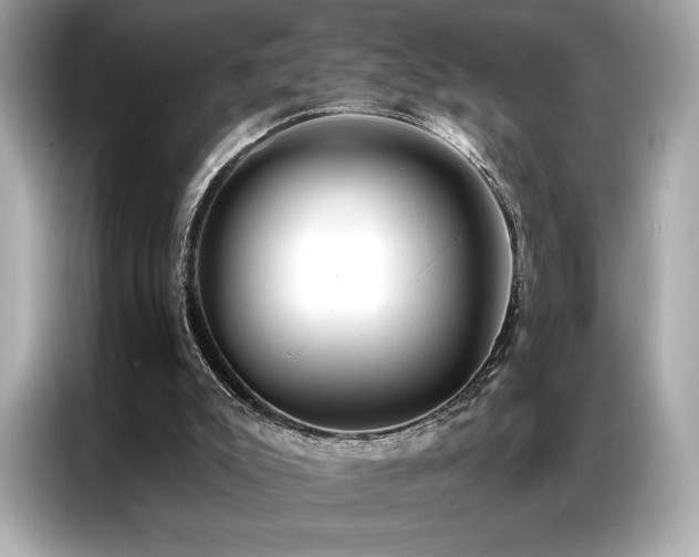 X0000087040007200704181225