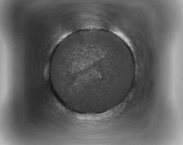 X0000087040009200704181225