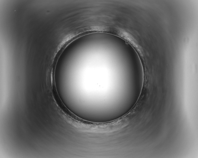 X0000087040011200704181225