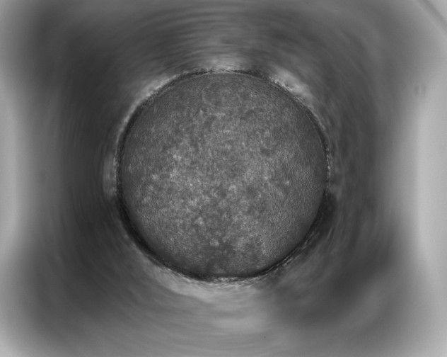 X0000087040012200704181225
