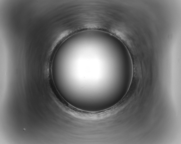 X0000087040015200704181225