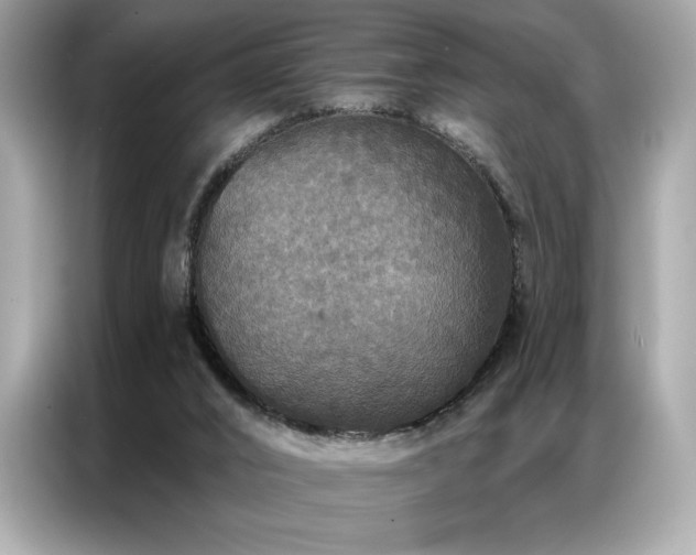 X0000087040016200704181225