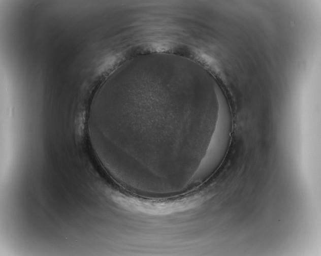 X0000087040018200704181225
