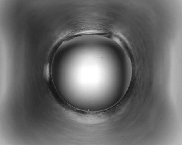 X0000087040020200704181225