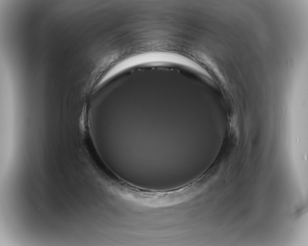X0000087040023200704181225