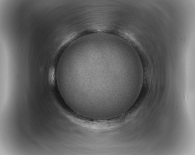 X0000087040024200704181225