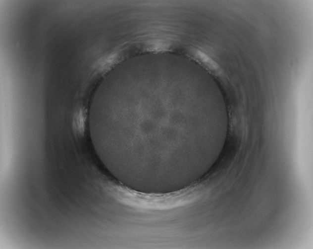 X0000087040026200704181225