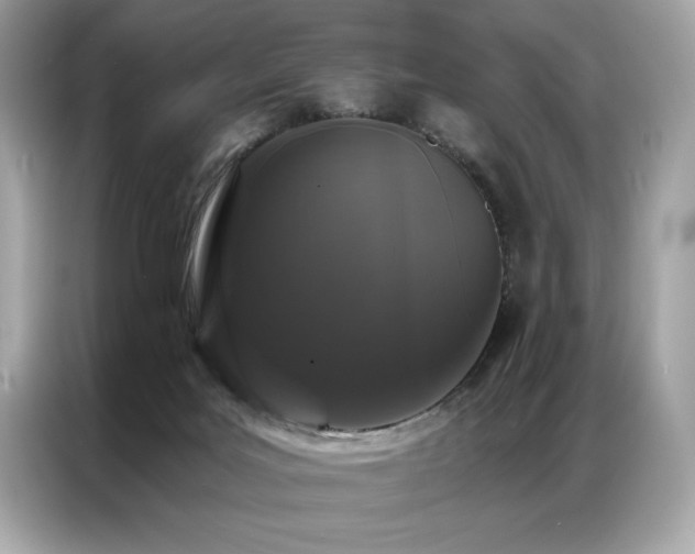 X0000087040027200704181225