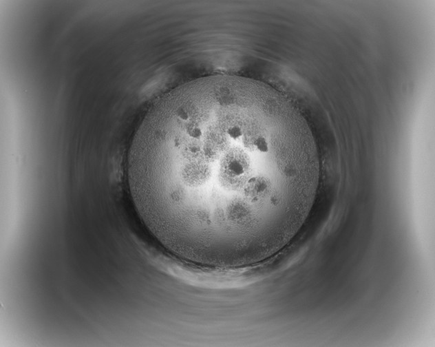 X0000087040032200704181225