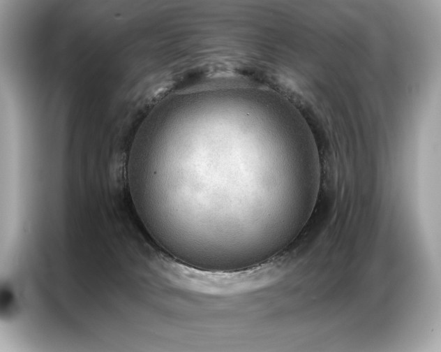 X0000087040034200704181225