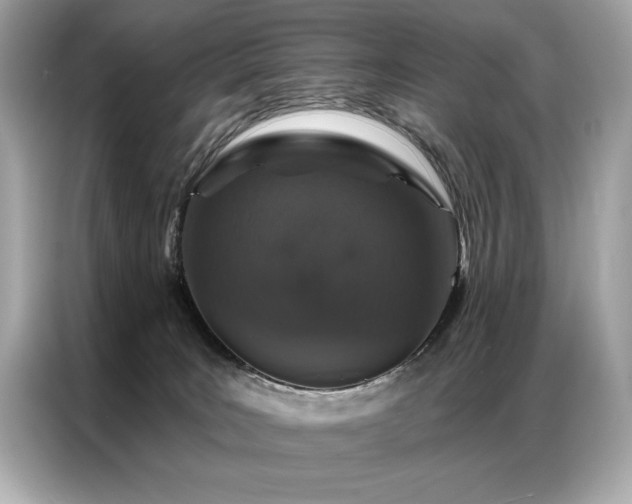 X0000087040035200704181225
