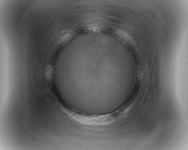 X0000087040036200704181225